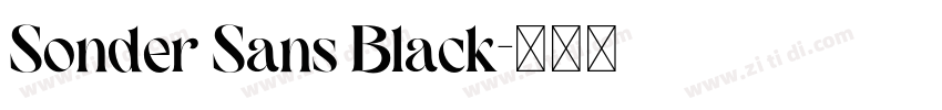 Sonder Sans Black字体转换